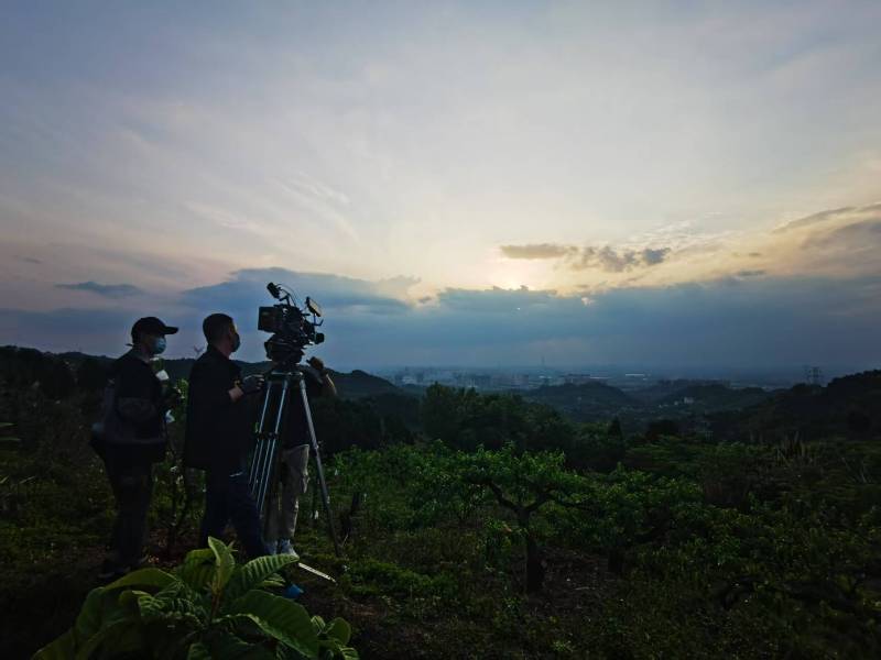 聚焦旬阳县产品宣传视频拍摄公司，用专业实力铸就品牌传播传奇