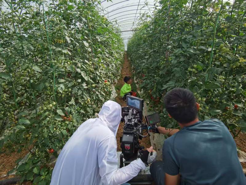 旬阳县产品宣传视频拍摄公司进阶指南，助力品牌抢占传播高地